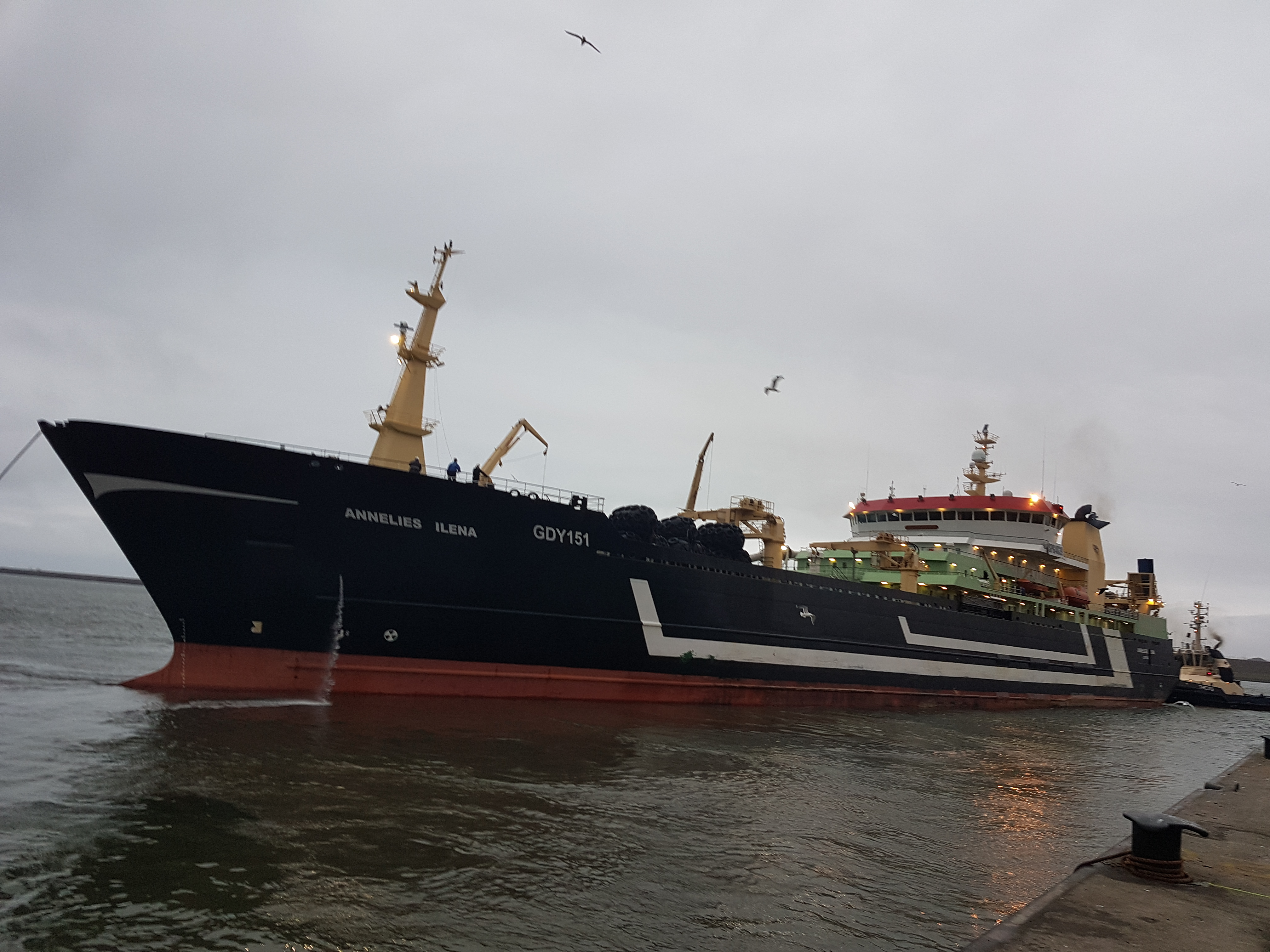 Quality Control Manager